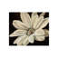 Dew Drops Painting by F. Elizabeth Douglass-26934624-26934631