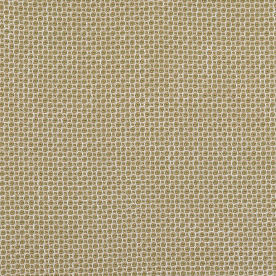 Birch Lane Lattice Fern 2" Dining Chair Seat Pad with Ties by Gracie Oaks