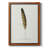 " Found Feather III " Painting Print-859429489