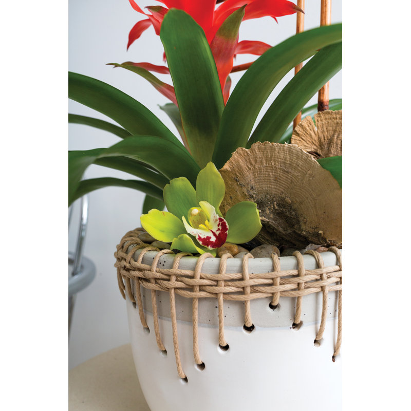 Galiena Handmade Ceramic Planter