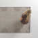 Demie Wool Abstract Indoor Rug
