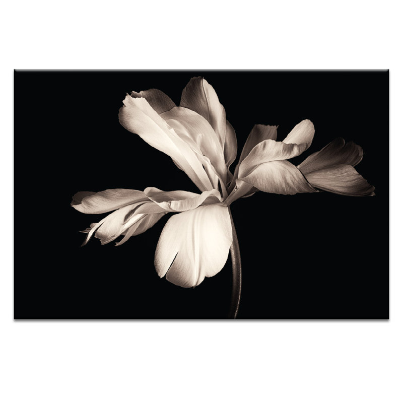 Innerglow - Print on Canvas, 51cm H x 76cm W, Wrapped Canvas