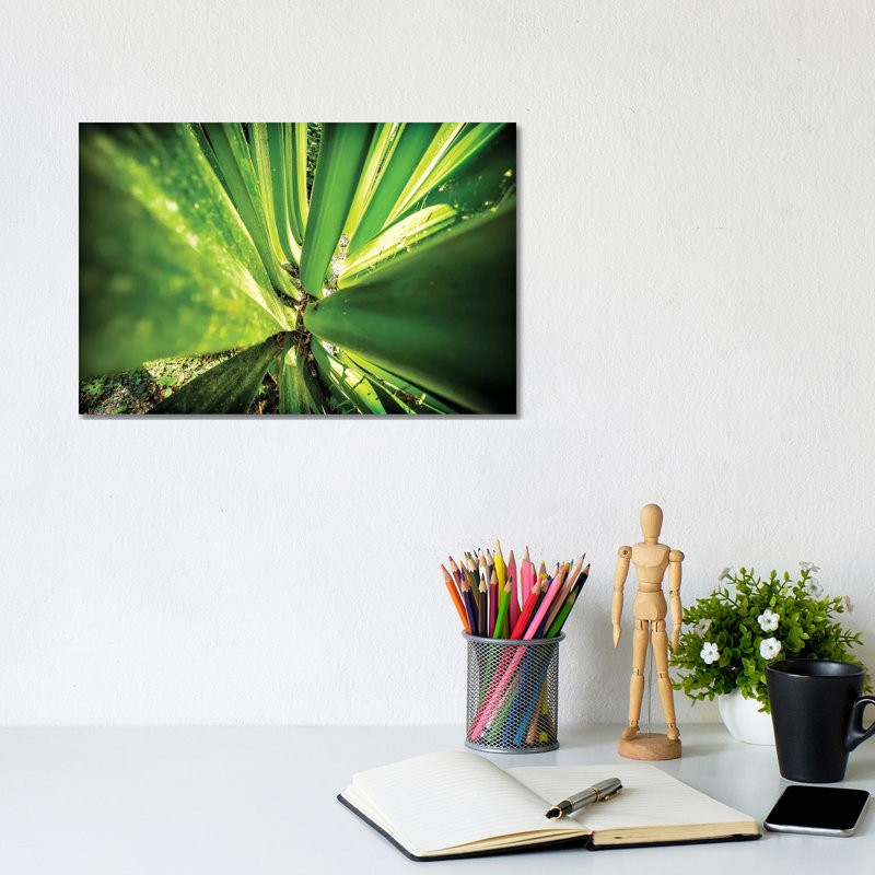 Tropical Forest VIII - Wrapped Canvas Print, 20.32cm H x 30.48cm W x 1.905cm D