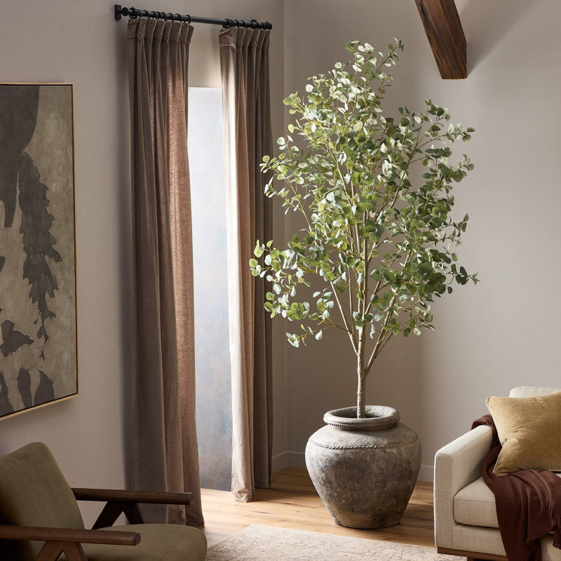 Faux Eucalyptus Tree-Faux Eucalyptus Tree-9', 107" H x 50" W