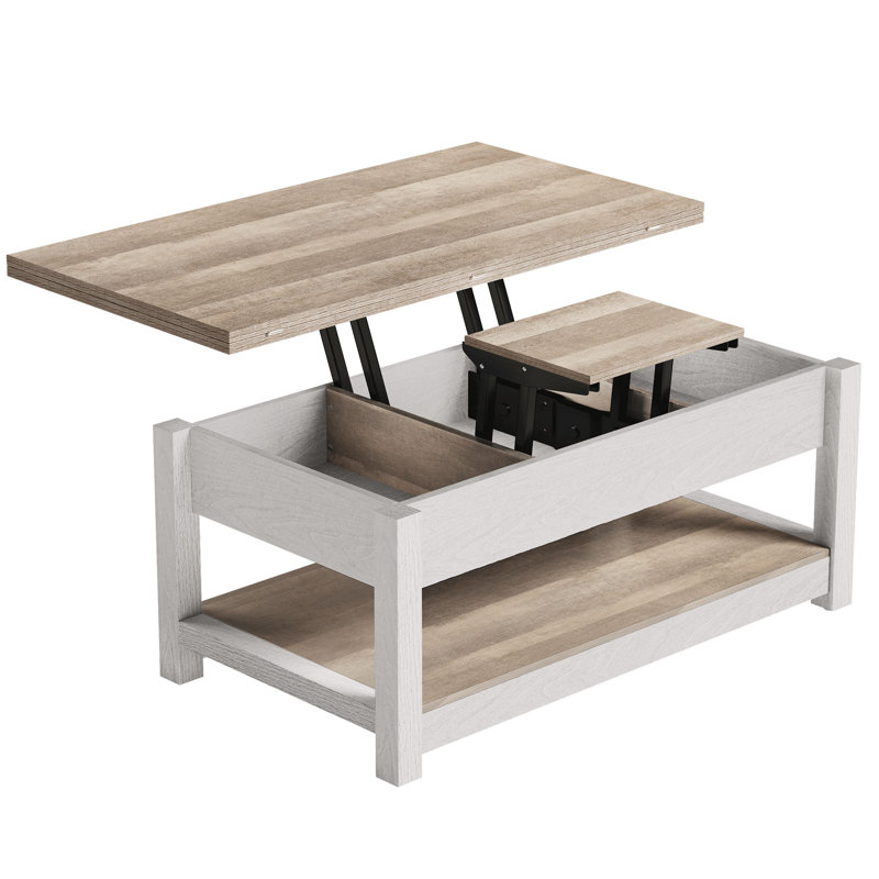 Bojko Lift Top Coffee Table with Hidden Storage