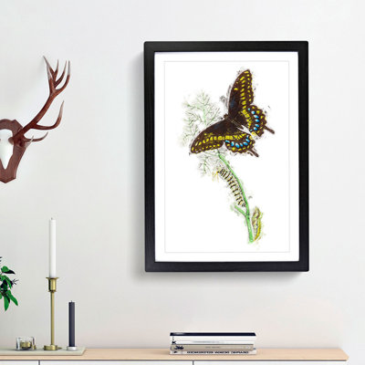Caterpillar & Butterfly by George Shaw - Picture Frame Graphic Art Print