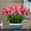 Simulations de décorations florales pour le salon