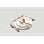 Poet 20 Piece Flatware Set, Service for 4-1501543329