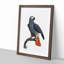 Orange-Tipped Grey Parrot by F. Levaillant - Framed Print-55577956-55577955