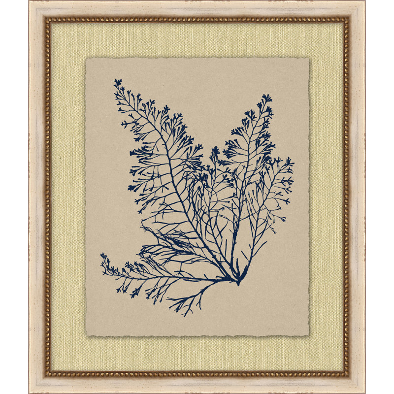 Small Navy Sea Fan 4 Print