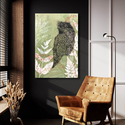 Epic Art «Tawny Frog Mouth» par Trudy riz, Acryli «Tawny Frog Mouth» par trudy riz