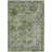 Machine Washable Indoor/Outdoor Cinead ACN1664 Aloe Rug-104403468