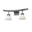 2 - Light Vanity Light