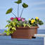 Grand pot de fleurs ovale classique intérieur / extérieur Classic-496436333-436047825