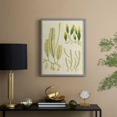 Vintage Sea Grass I Framed Print - Solid Wood
