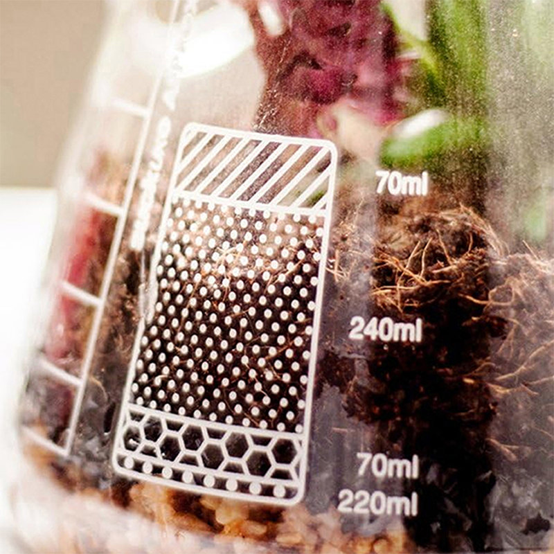 Glass Terrarium