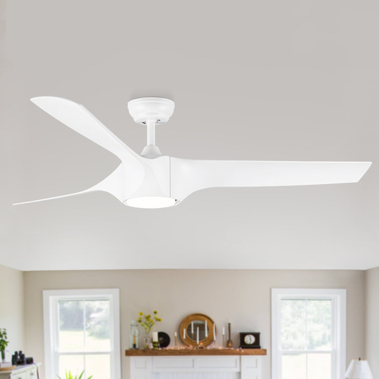 Deroy 56'' Ceiling Fan with LED Lights