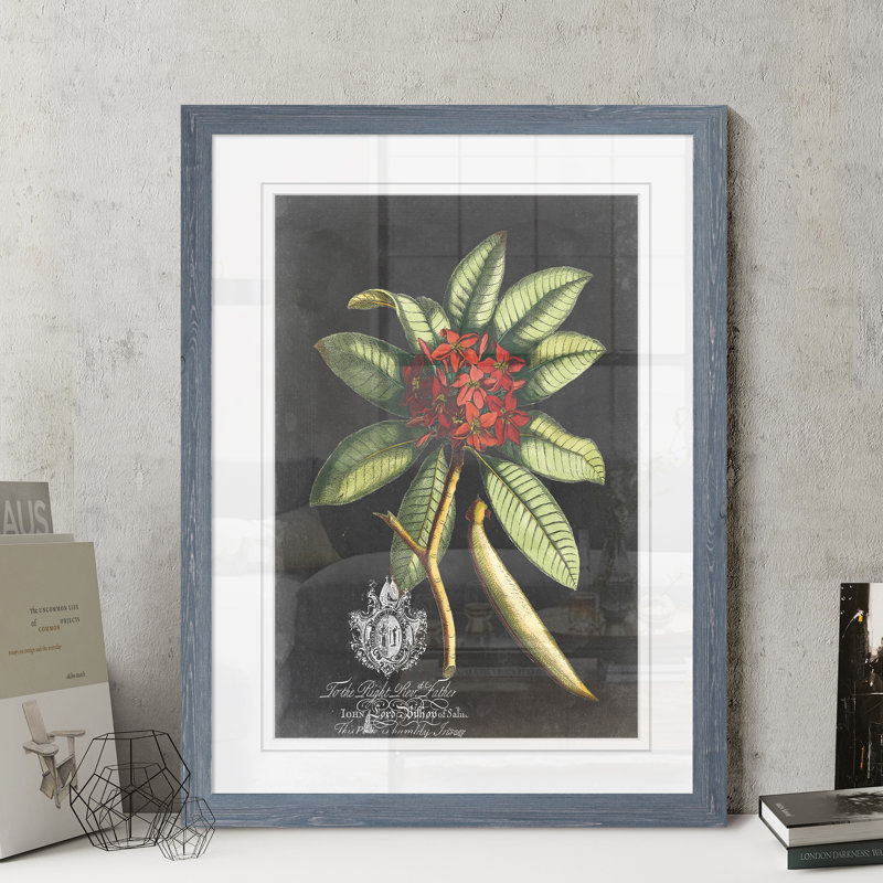 « royal feuillage iii » par paul cezanne-cadre photo, reproduction d’art, H 28 po x l 38 po x 1,25 po