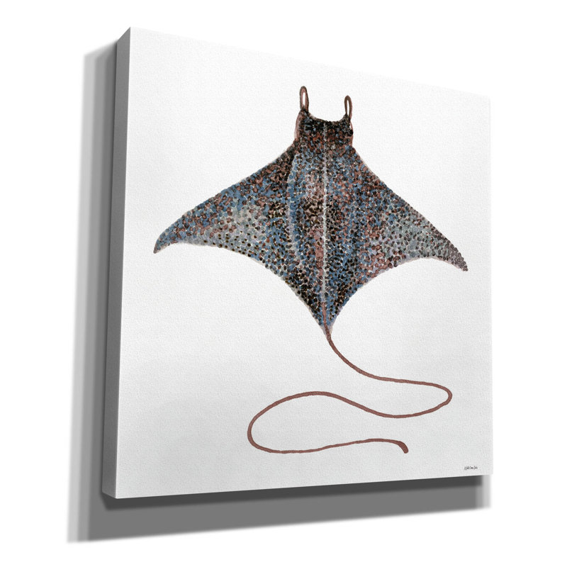 'Eagle Ray 2' by Stellar Design Studio, Canvas Wall Art, 12" H x 12" W x 0.75" D