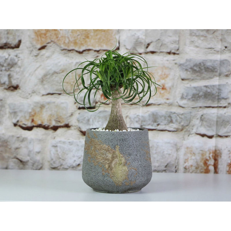 Round Hand Formed Planter