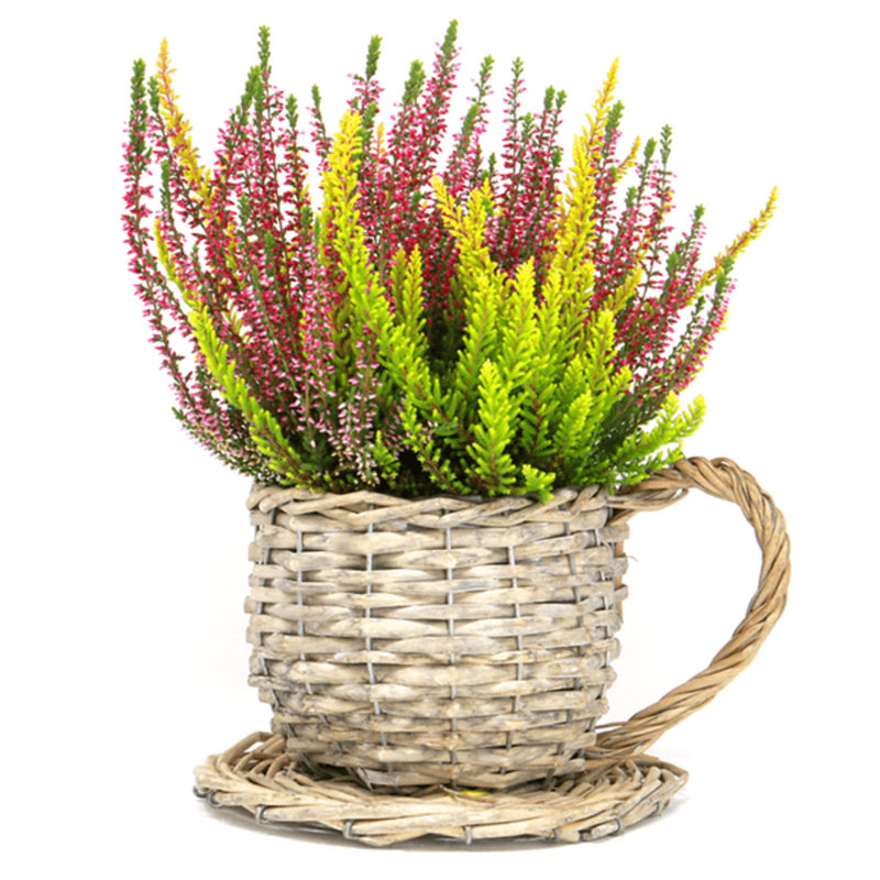 Paullina Statue Planter