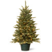 Potted Christmas Tree