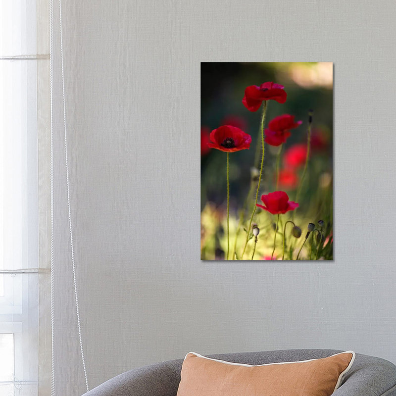 Morpheus Ascending by Geoffrey Ansel Agrons - Wrapped Canvas Print, 66.04 cm H x 45.72 cm W x 3.175 cm D