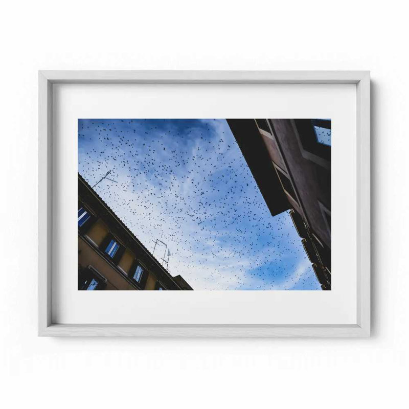 Before Sunset Print by Joseph Regan, 22" H x 26" W x 0.75" D, White
