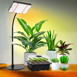 Maker Network Grow Light