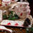 Winterfest 3 Piece Candy Bowl Set