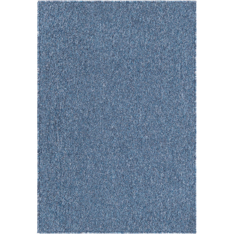 Indoor Rug, Rectangle 2'2" x 3'