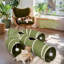 Tunnel pliable pour chat en forme de cactus-1675654944