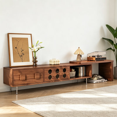 Creative Adjustable TV Stand
