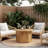 31.5" Solid Wood Round Coffee Table