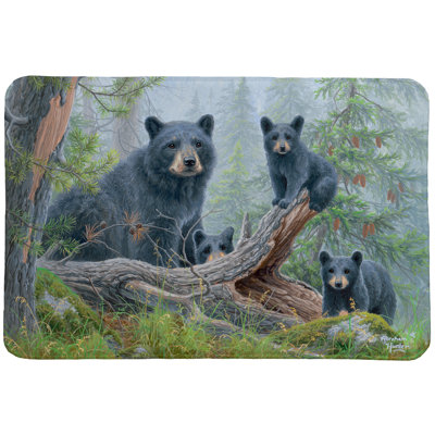 Tapis de bain Swader Family Bears
