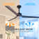 60" Elizandra 3 - Blade LED Standard Ceiling Fan with Remote Control and Light Kit Included
