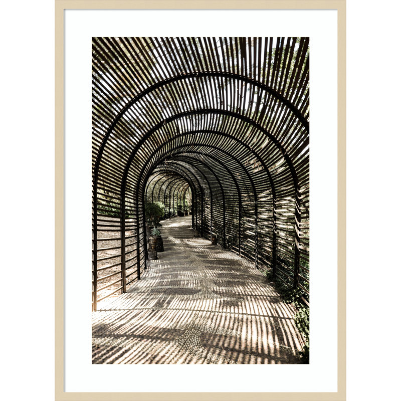 «Nihan Shadow Garden» par Shot par Clint Wood, reproduction d'art encadrée, Brun, H 41 po x l 30 po
