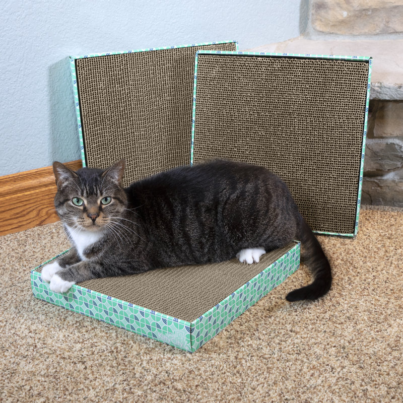 Scratching Post