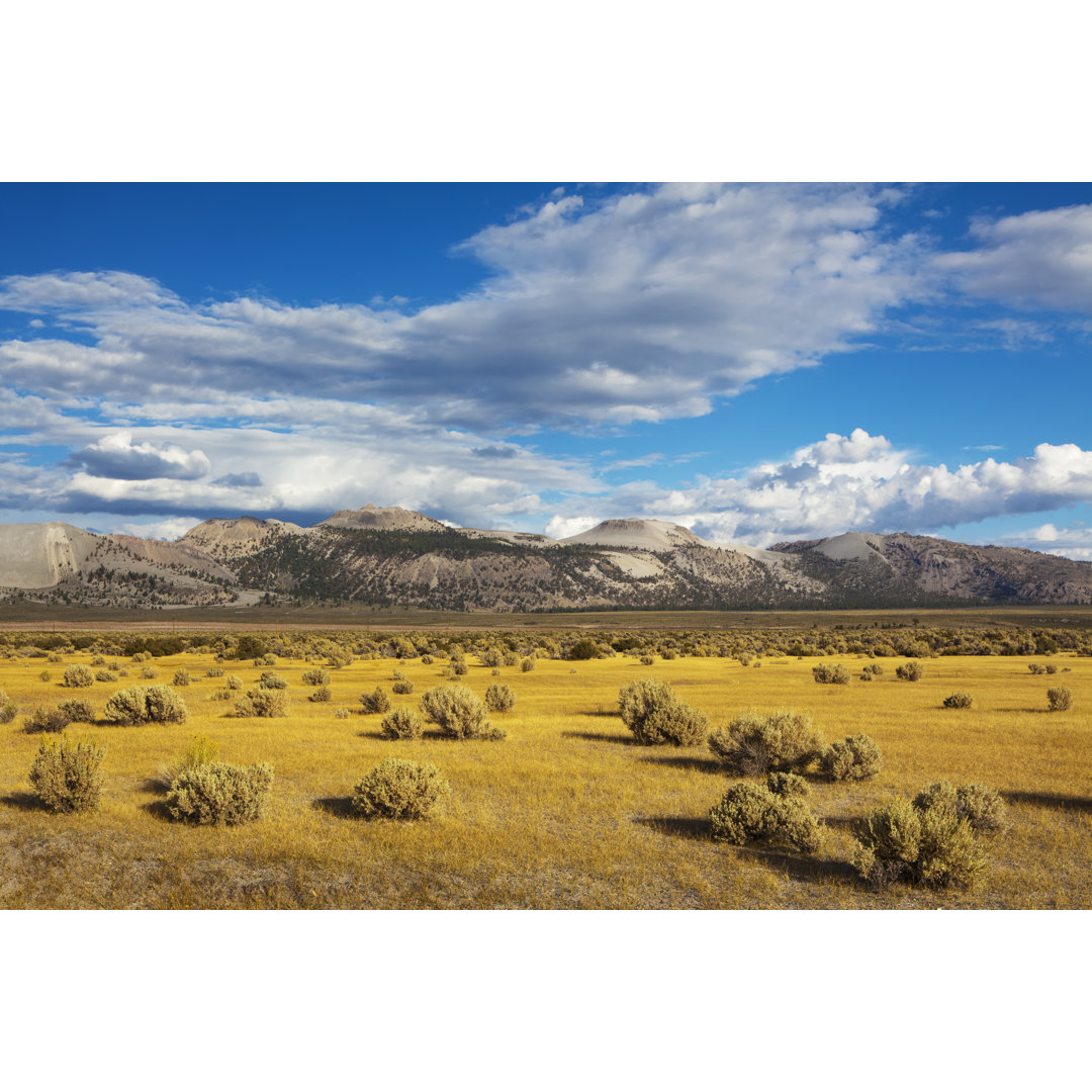 Landschaft am Mono Lake von LucynaKoch - Druck