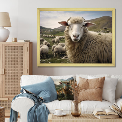 " Sheep Environmentalin Mountain "