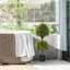 Arbres topiaires 40 po
