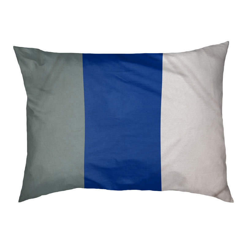 Coussin pour chien Arizona Tempe, Moyen (l 28 po x P 18 po x H 6 po), Argent / Bleu / Blanc