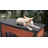 29"H Outdoor Dog House Wooden Dog Kennel with Lift-Top Roof Easy-Clean Backyard Dog Shelter for Small to Medium Dogs-225564631