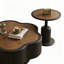 Table basse à pétales rétro français-130033224-130033226