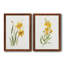 Ochre botanique I - ensemble de 2 reproductions d'art-451386744-451386746-451386720