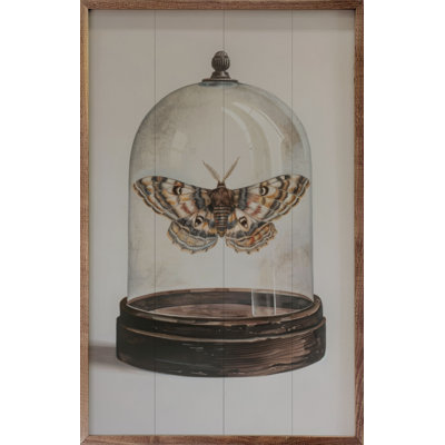 «Glass Moth I» par Petals Prints Design