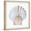 «Pretty White Shell», reproduction encadrée-1664352504