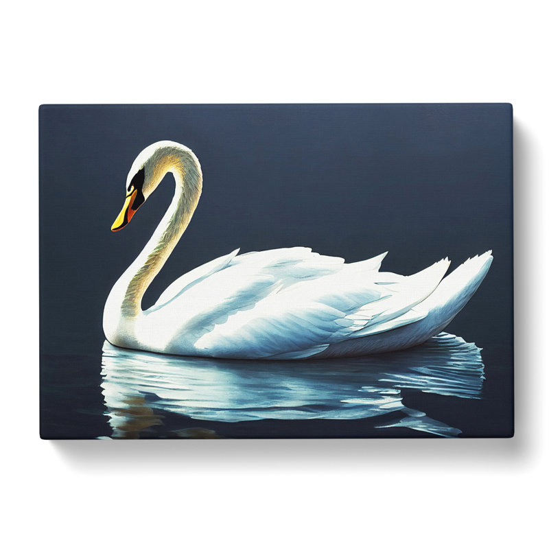 Astounding Swan - Wrapped Canvas, 35cm H x 50cm W x 3cm D