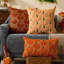 Housse de coussin d'automne 18 x 18 ensemble de 2 taies décoratives de citrouilles décoratives d'automne-116502059