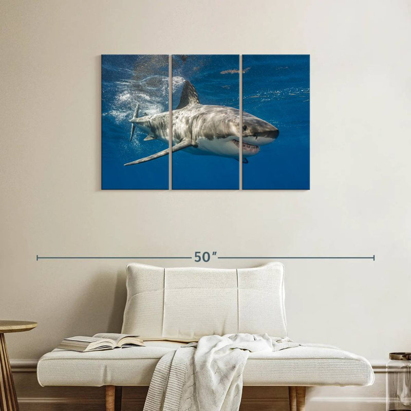 Shark, 24" H x 38" W